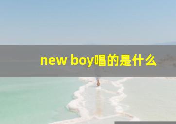 new boy唱的是什么